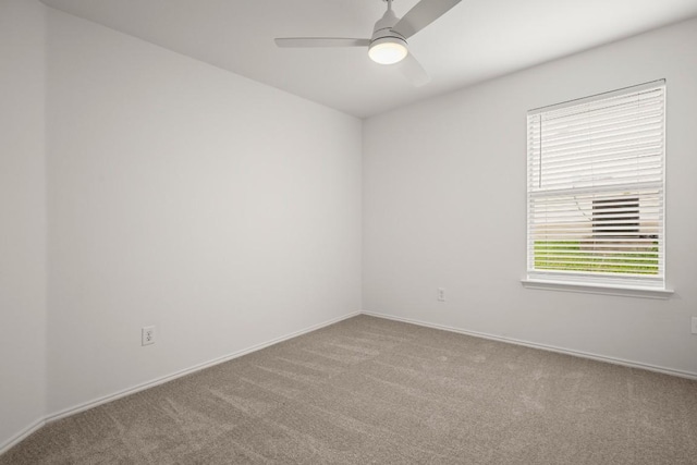 161 Plumbago Cv, Buda, TX 78610 - photo 21