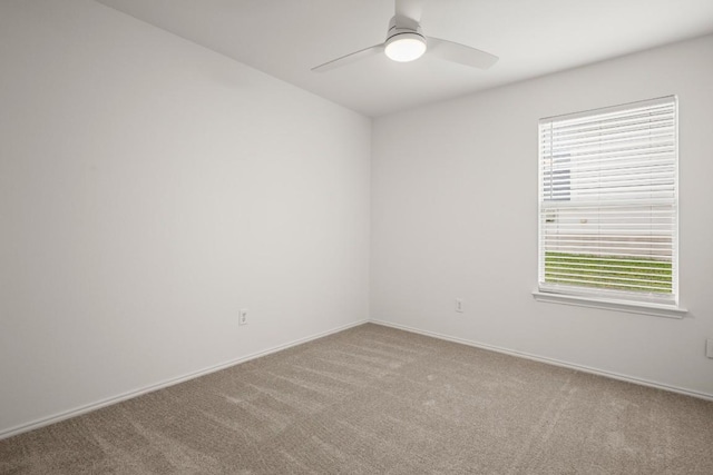 161 Plumbago Cv, Buda, TX 78610 - photo 22