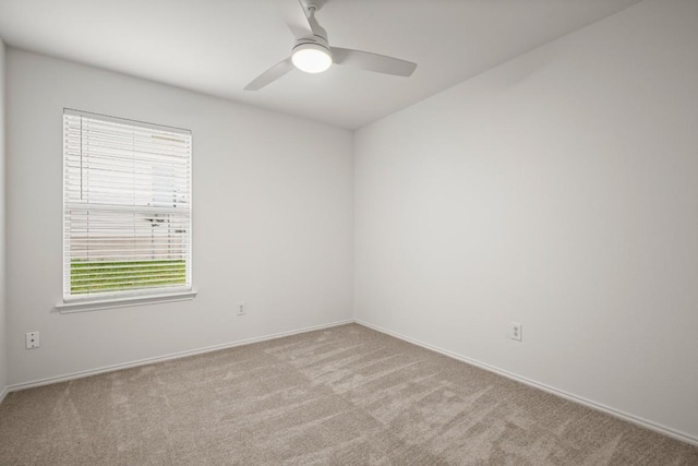 161 Plumbago Cv, Buda, TX 78610 - photo 24