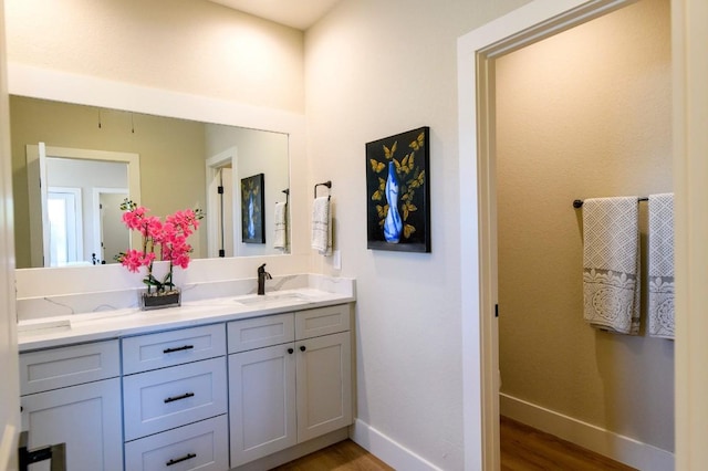 302 Castlehigh Dr, Granite Shoals, TX 78654 - bathroom with wood finished floors and double vanity