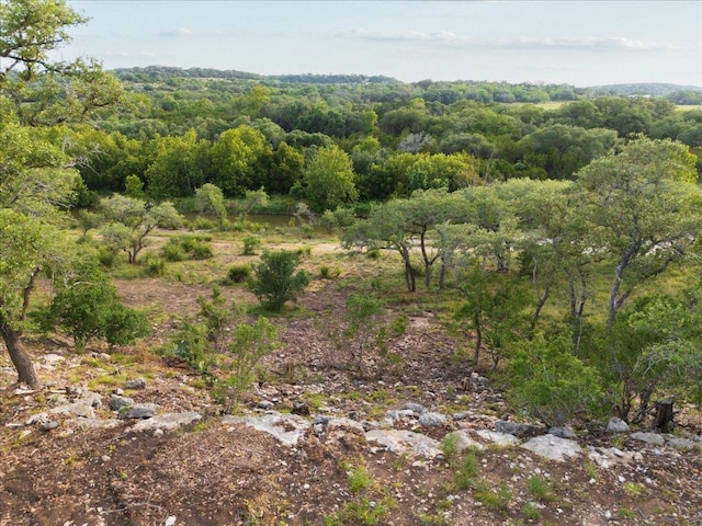 LOT7 Byrd Ranch Rd, Johnson City, TX 78636 - photo 22