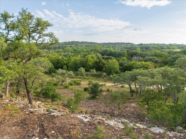 LOT7 Byrd Ranch Rd, Johnson City, TX 78636 - photo 23