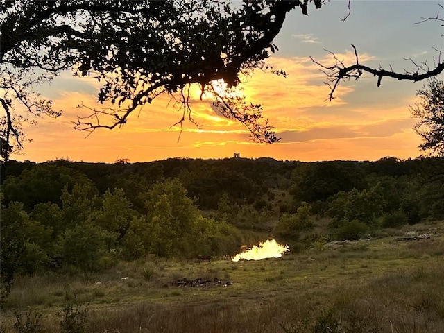 LOT7 Byrd Ranch Rd, Johnson City, TX 78636 - photo 8