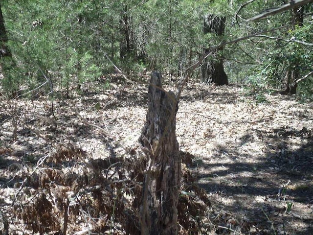TBDR68370 Walter Hoffman Rd Unit H, Cedar Creek, TX 78612