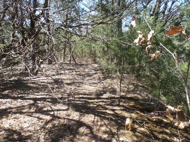 TBDR68370 Walter Hoffman Rd Unit H, Cedar Creek, TX 78612