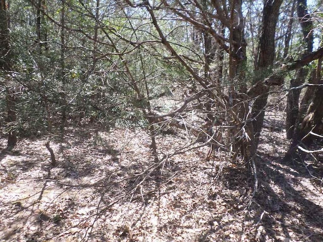 TBDR68370 Walter Hoffman Rd Unit H, Cedar Creek, TX 78612