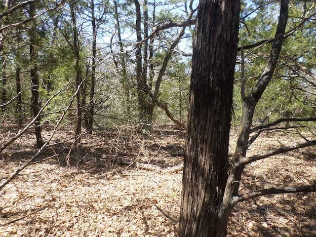 TBDR68370 Walter Hoffman Rd Unit H, Cedar Creek, TX 78612