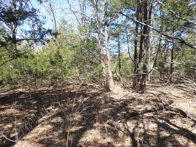 TBDR68370 Walter Hoffman Rd Unit H, Cedar Creek, TX 78612