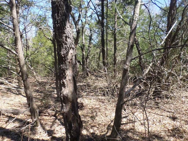 TBDR68370 Walter Hoffman Rd Unit H, Cedar Creek, TX 78612