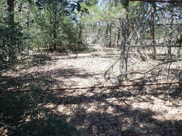 TBDR68370 Walter Hoffman Rd Unit H, Cedar Creek, TX 78612
