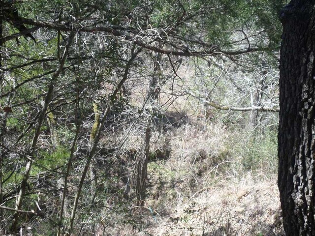 TBDR68370 Walter Hoffman Rd Unit H, Cedar Creek, TX 78612