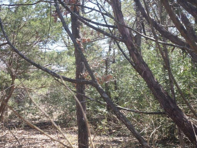 TBDR68370 Walter Hoffman Rd Unit H, Cedar Creek, TX 78612