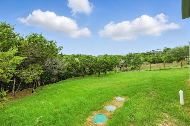 10605 Creekwood Cir, Dripping Springs, TX 78620 - photo 28
