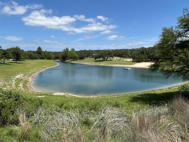 10605 Creekwood Cir, Dripping Springs, TX 78620 - photo 31