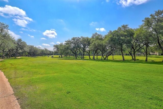 25 Meadows End Dr, Georgetown, TX 78628 - view of home's community with a lawn and view of wooded area