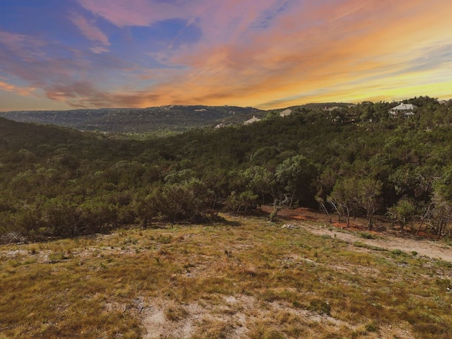 6002 Lost Trail Cv, Austin, TX 78730