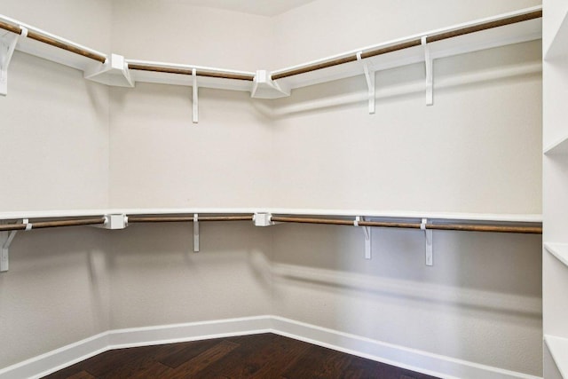 3213 Venezia Vw, Leander, TX 78641 - walk in closet with dark wood finished floors