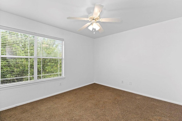 13228 Briarcreek Loop, Manor, TX 78653 - photo 24