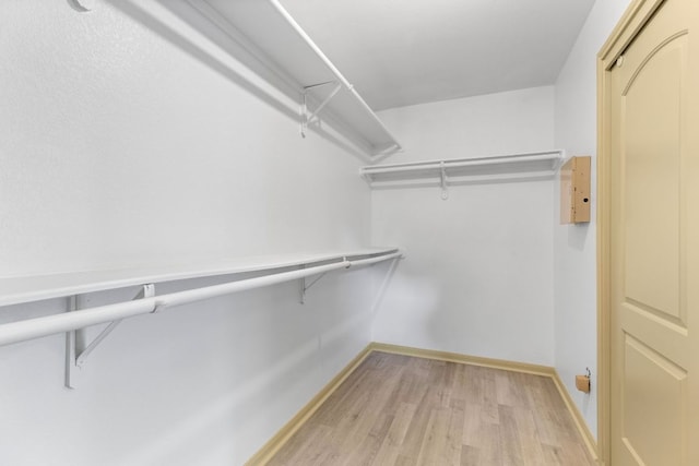 325 Swenson Dr, Hutto, TX 78634 - spacious closet with light wood-style flooring