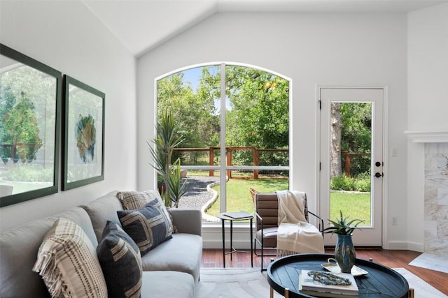4608 Hibiscus Valley Dr, Austin, TX 78739 - living area featuring vaulted ceiling, plenty of natural light, and wood finished floors