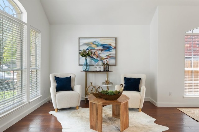 4608 Hibiscus Valley Dr, Austin, TX 78739 - living area with plenty of natural light, wood finished floors, and vaulted ceiling