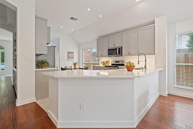 4608 Hibiscus Valley Dr, Austin, TX 78739 - kitchen featuring appliances with stainless steel finishes, lofted ceiling, tasteful backsplash, light countertops, and wood finished floors