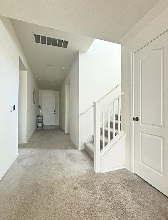 12637 Orchard Grove Ln, Manor, TX 78653 - photo 11