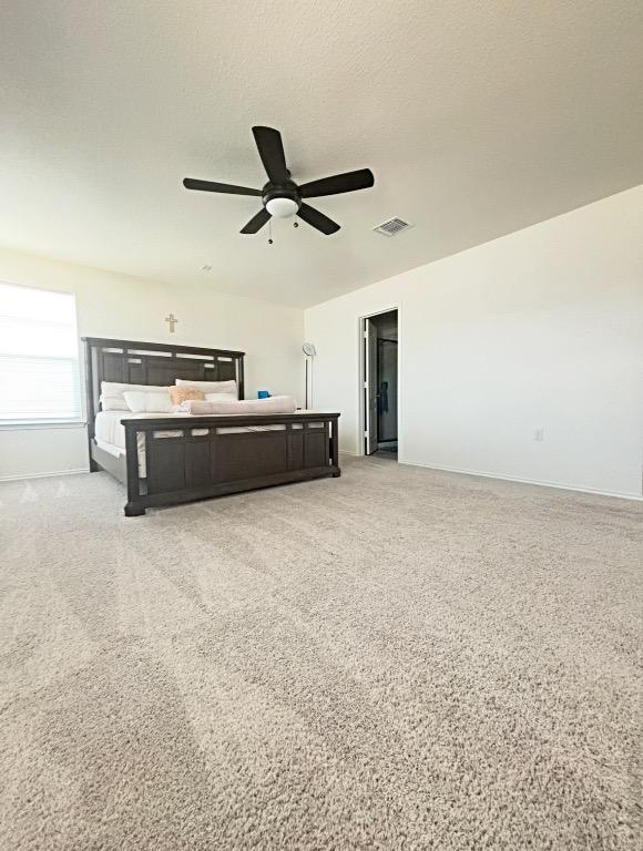 12637 Orchard Grove Ln, Manor, TX 78653 - photo 24