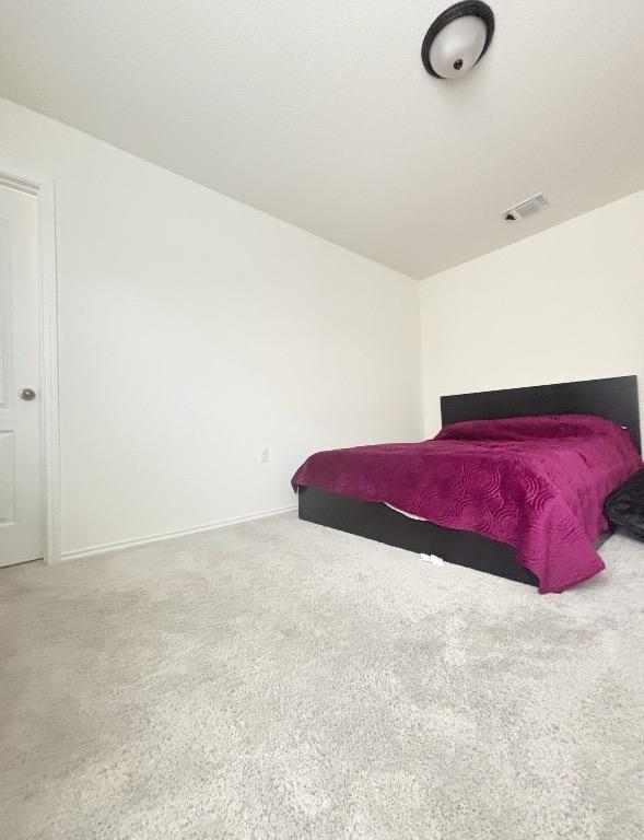 12637 Orchard Grove Ln, Manor, TX 78653 - bedroom featuring carpet flooring