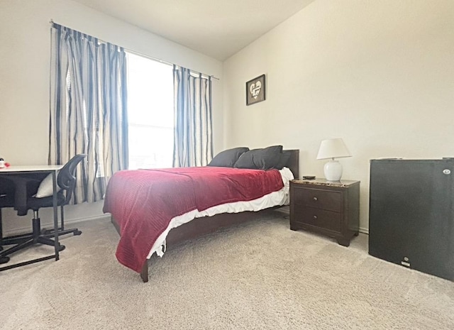12637 Orchard Grove Ln, Manor, TX 78653 - view of carpeted bedroom