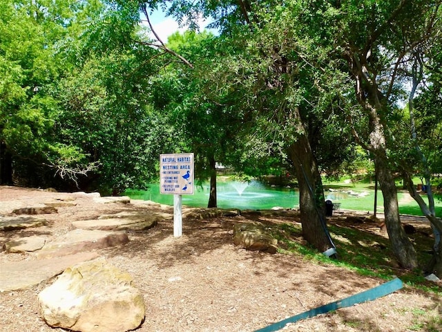 2904 Belgrave Falls Ln, Austin, TX 78748 - photo 36