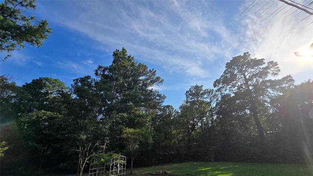 365 Pine Tree Loop, Bastrop, TX 78602 - photo 2
