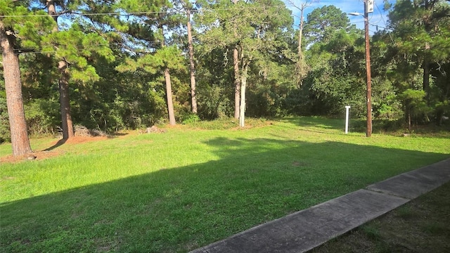 365 Pine Tree Loop, Bastrop, TX 78602 - photo 21