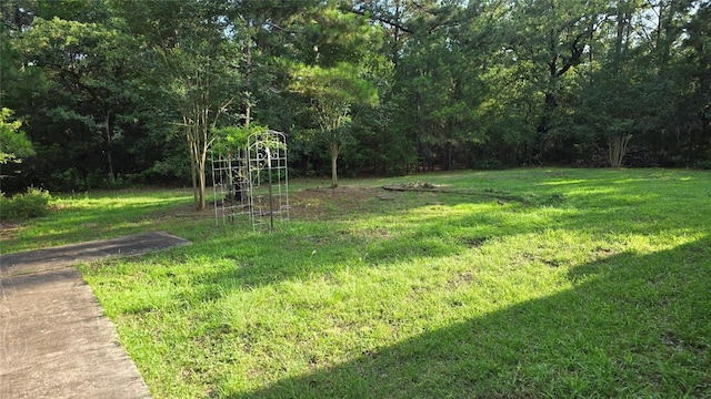365 Pine Tree Loop, Bastrop, TX 78602 - photo 22
