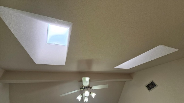 365 Pine Tree Loop, Bastrop, TX 78602 - detailed view of a skylight