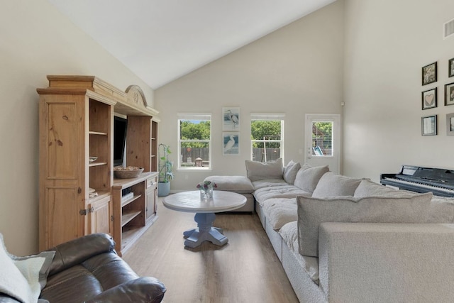 603 Luna Vista Dr, Hutto, TX 78634 - living room with light wood finished floors, high vaulted ceiling, and healthy amount of natural light
