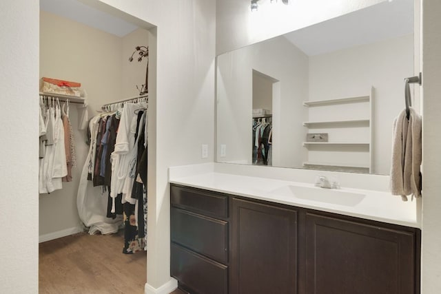 603 Luna Vista Dr, Hutto, TX 78634 - bathroom featuring wood finished floors, vanity, and a spacious closet
