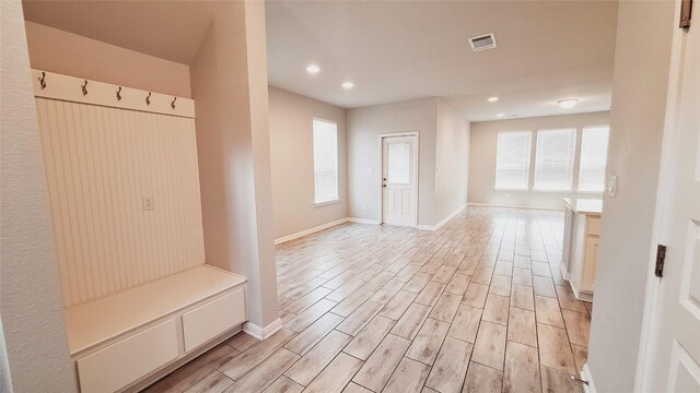 124 Peruvian Ln, Georgetown, TX 78626 - photo 6