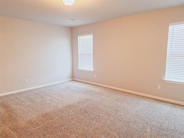 124 Peruvian Ln, Georgetown, TX 78626 - photo 19