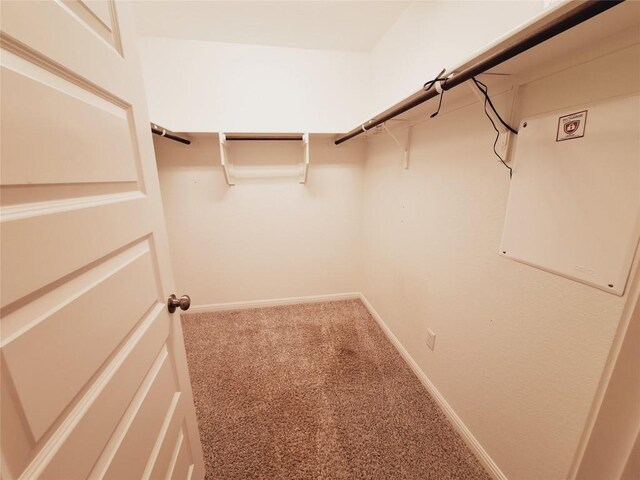 124 Peruvian Ln, Georgetown, TX 78626 - photo 26