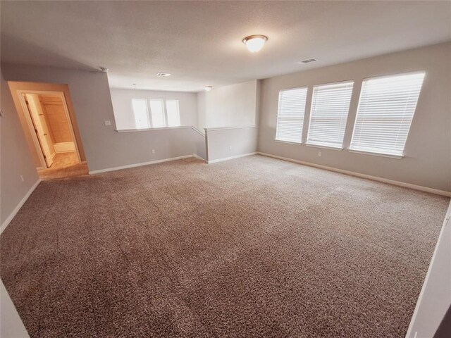 124 Peruvian Ln, Georgetown, TX 78626 - photo 28
