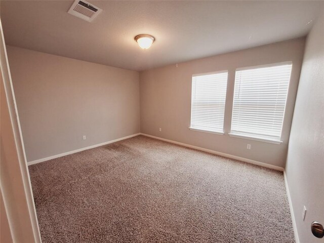 124 Peruvian Ln, Georgetown, TX 78626 - photo 30