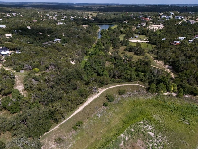 17503 Lake Shore Dr, Dripping Springs, TX 78620 - photo 14