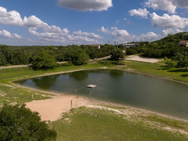 17503 Lake Shore Dr, Dripping Springs, TX 78620 - photo 26