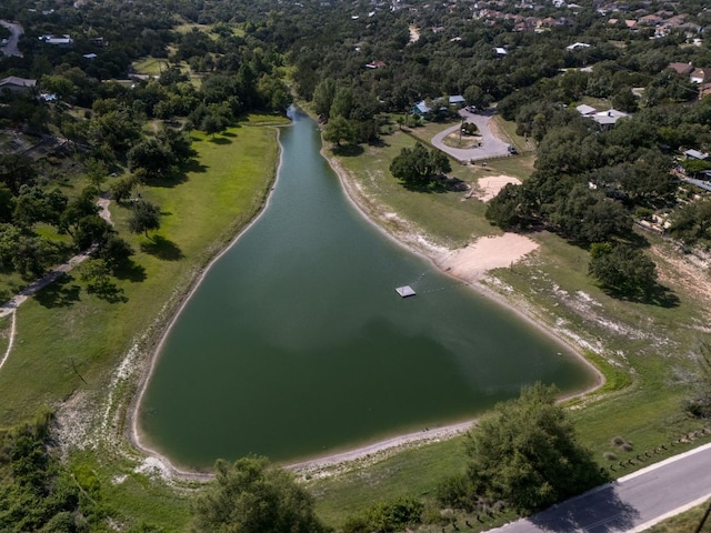 17503 Lake Shore Dr, Dripping Springs, TX 78620 - photo 27