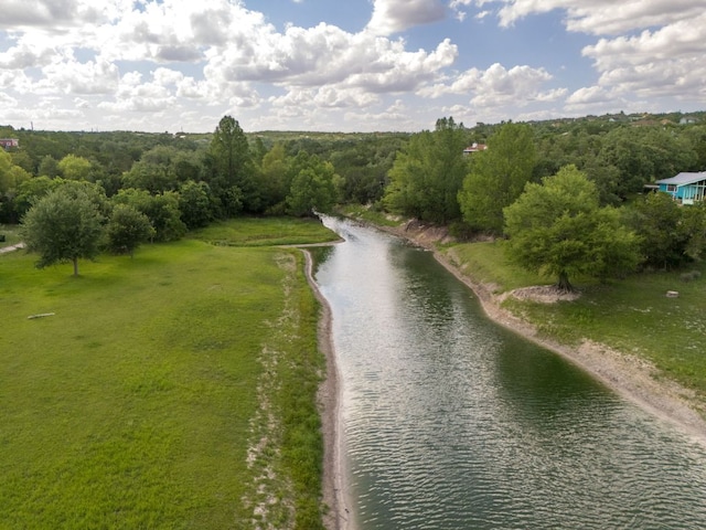17503 Lake Shore Dr, Dripping Springs, TX 78620 - photo 29