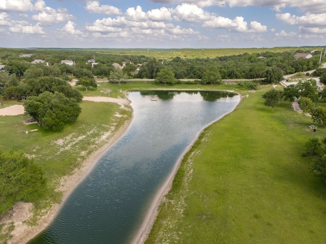 17503 Lake Shore Dr, Dripping Springs, TX 78620 - photo 30