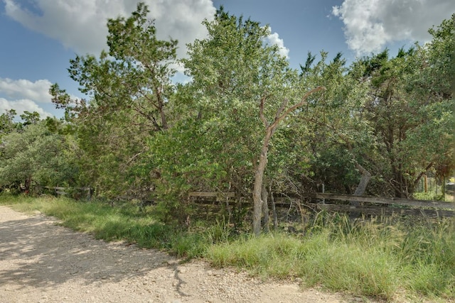 17503 Lake Shore Dr, Dripping Springs, TX 78620 - photo 1