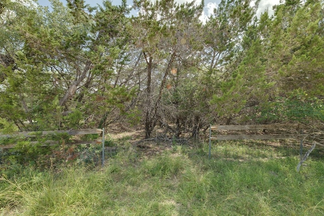 17503 Lake Shore Dr, Dripping Springs, TX 78620 - photo 4