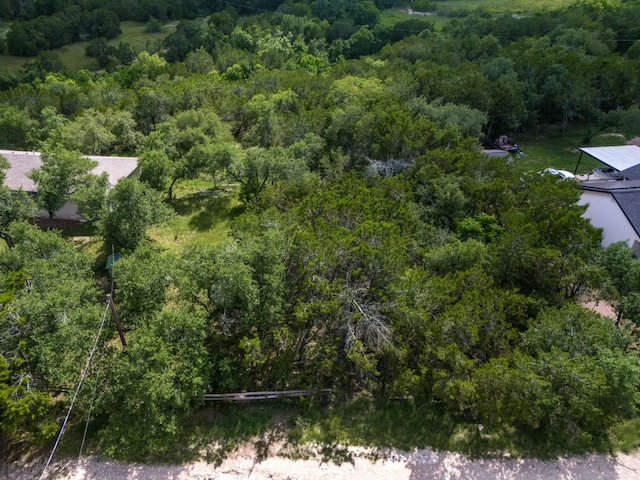 17503 Lake Shore Dr, Dripping Springs, TX 78620 - photo 7